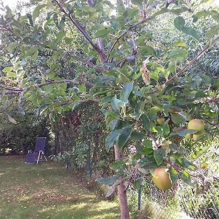 Huis Bij De Catalpa 多德雷赫特 外观 照片