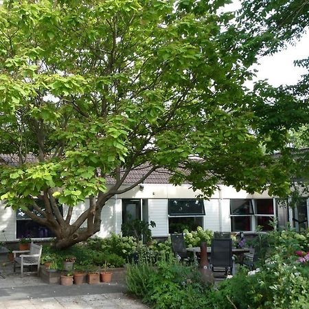 Huis Bij De Catalpa 多德雷赫特 外观 照片