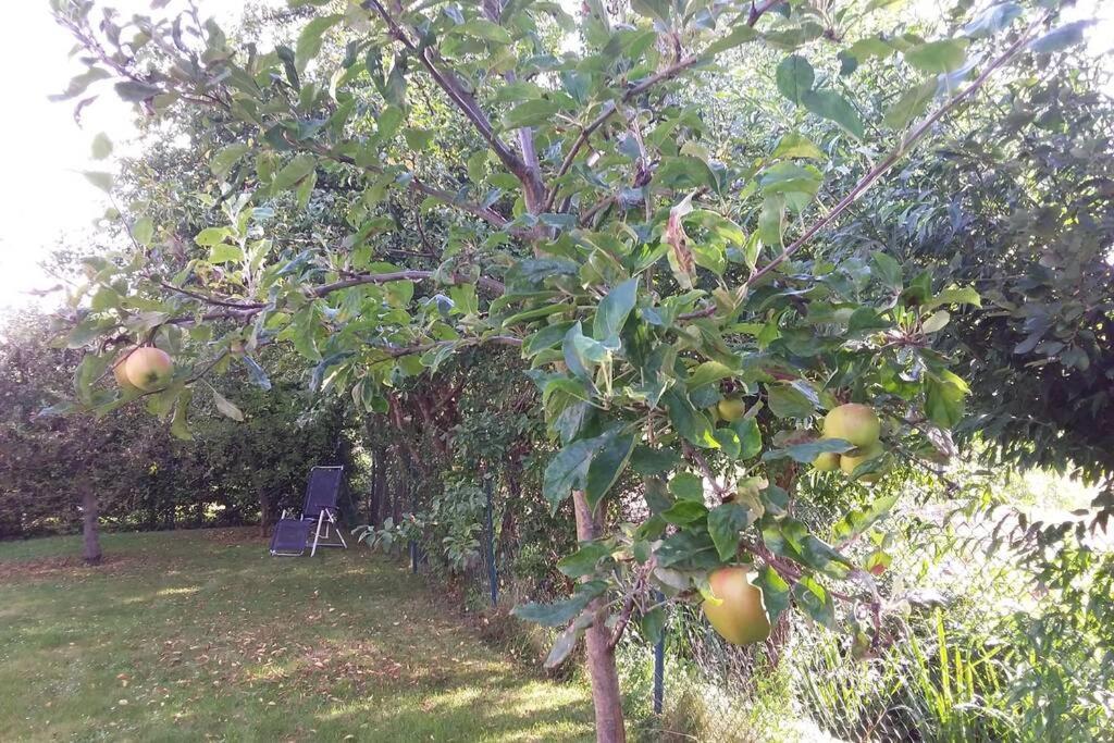 Huis Bij De Catalpa 多德雷赫特 外观 照片