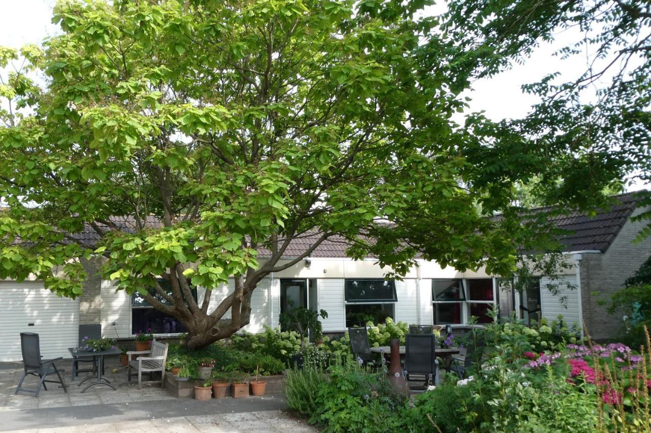 Huis Bij De Catalpa 多德雷赫特 外观 照片